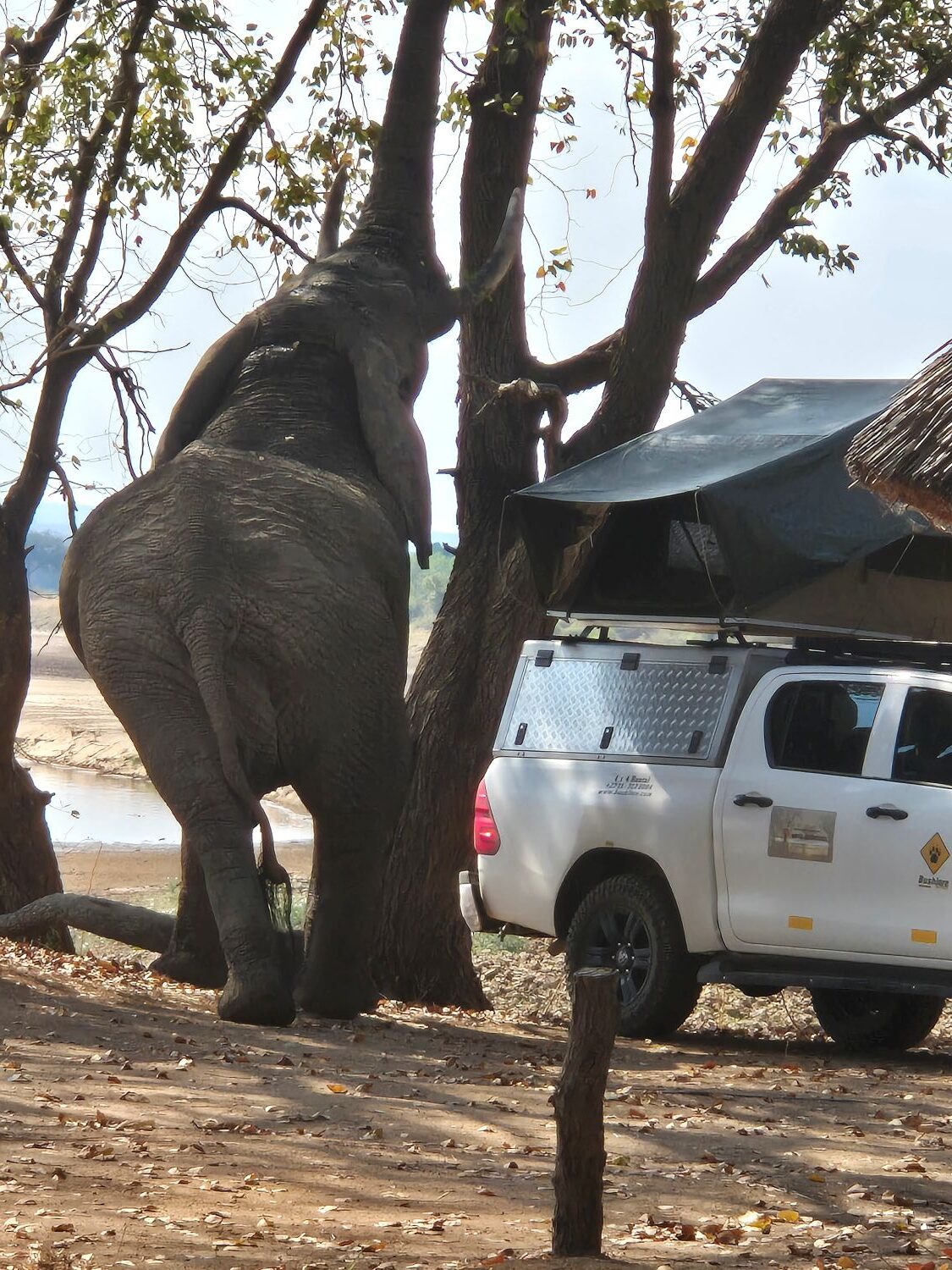 Winner small image - Mbuyu Adventures Gmbh