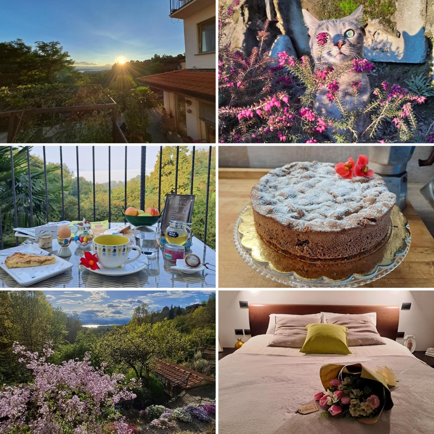 Winner small image - Al Nifontano B&B