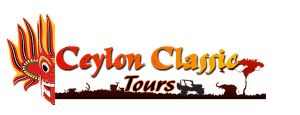 Winner small image - Ceylon Classic Tours
