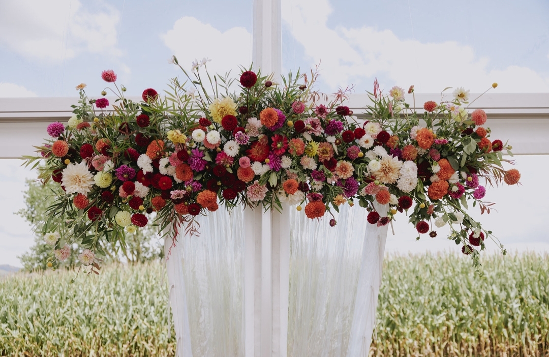 Winner small image - Sylvias Summer