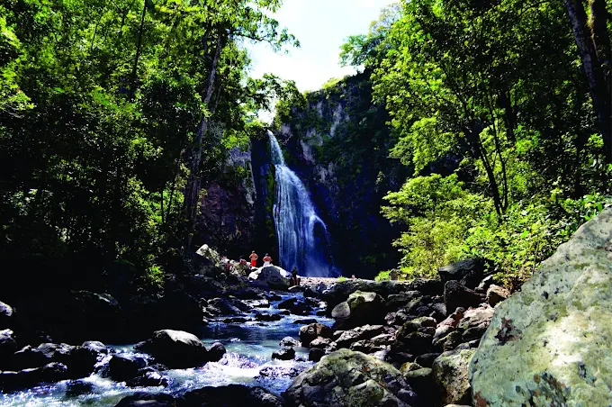 Winner small image - NICARAGUA RECON TOURS