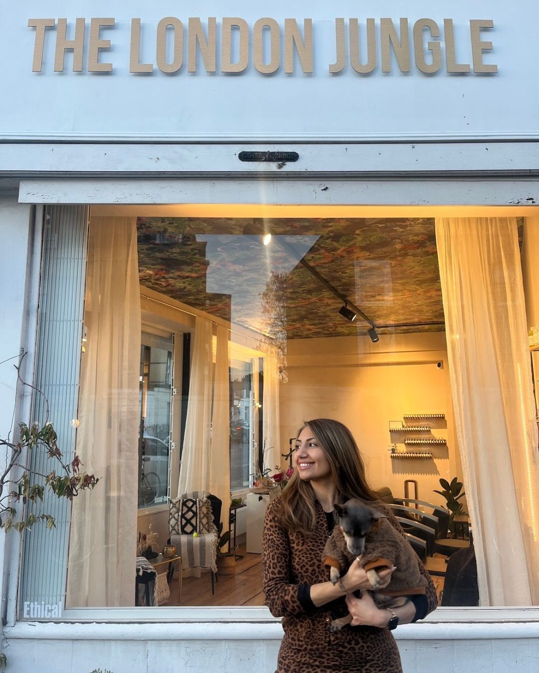 Winner small image - The London Jungle