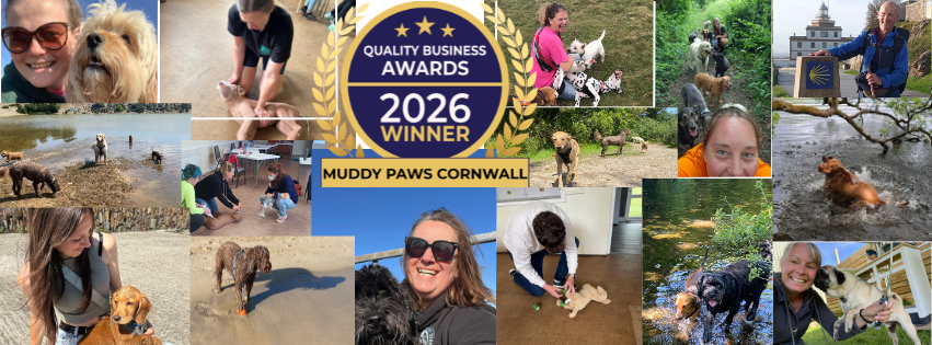 Winner small image - Muddy Paws Cornwall