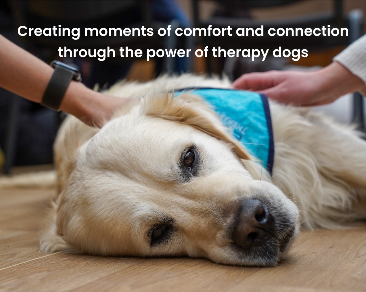 Winner small image - Essex Therapy Dogs