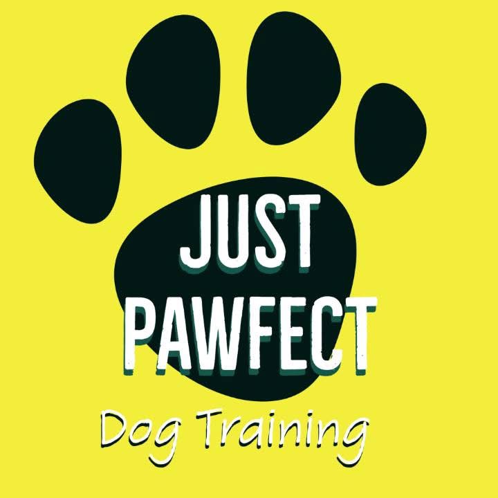 Winner small image - Just Pawfect Dog Training