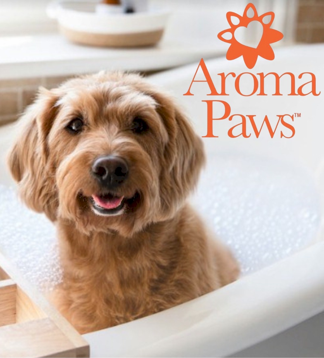 Winner small image - Aroma Paws