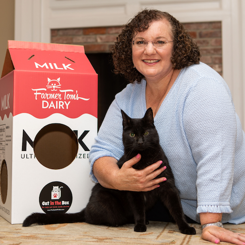 Winner small image - Cat in the Box