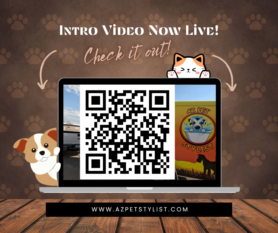 Winner small image - Az Pet Stylist