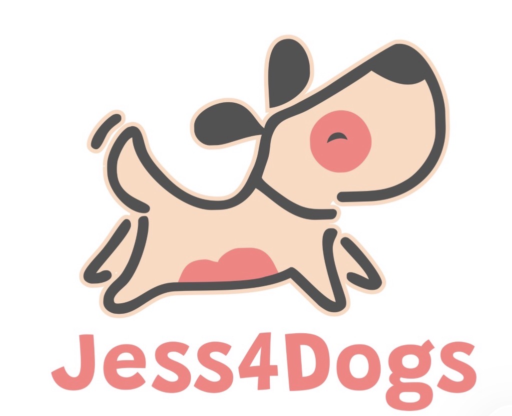 Winner small image - Jess4Dogs