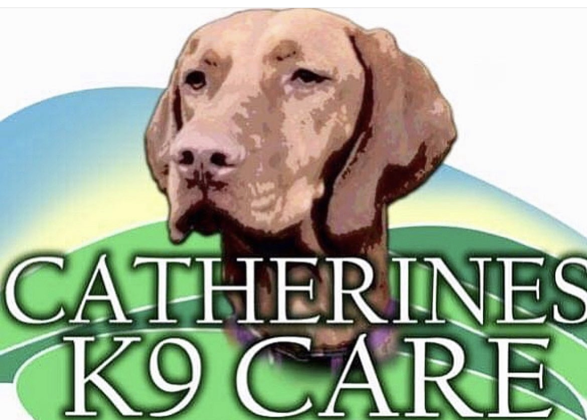 Winner small image - Catherines K9 Care