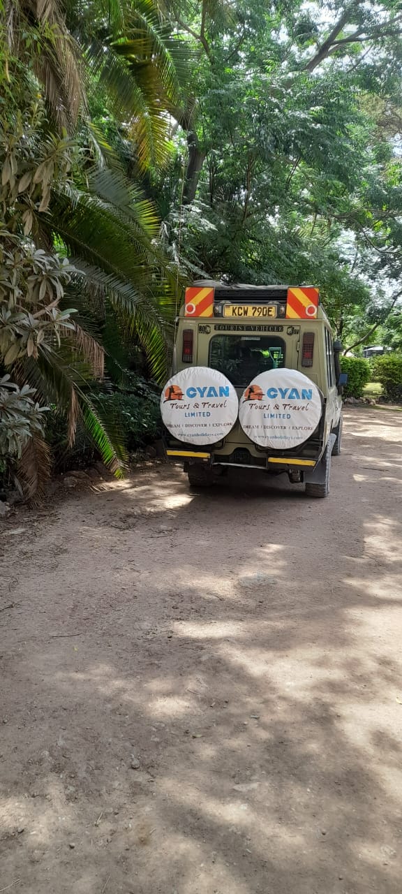 Winner small image - Cyan Tours & Travel Limited