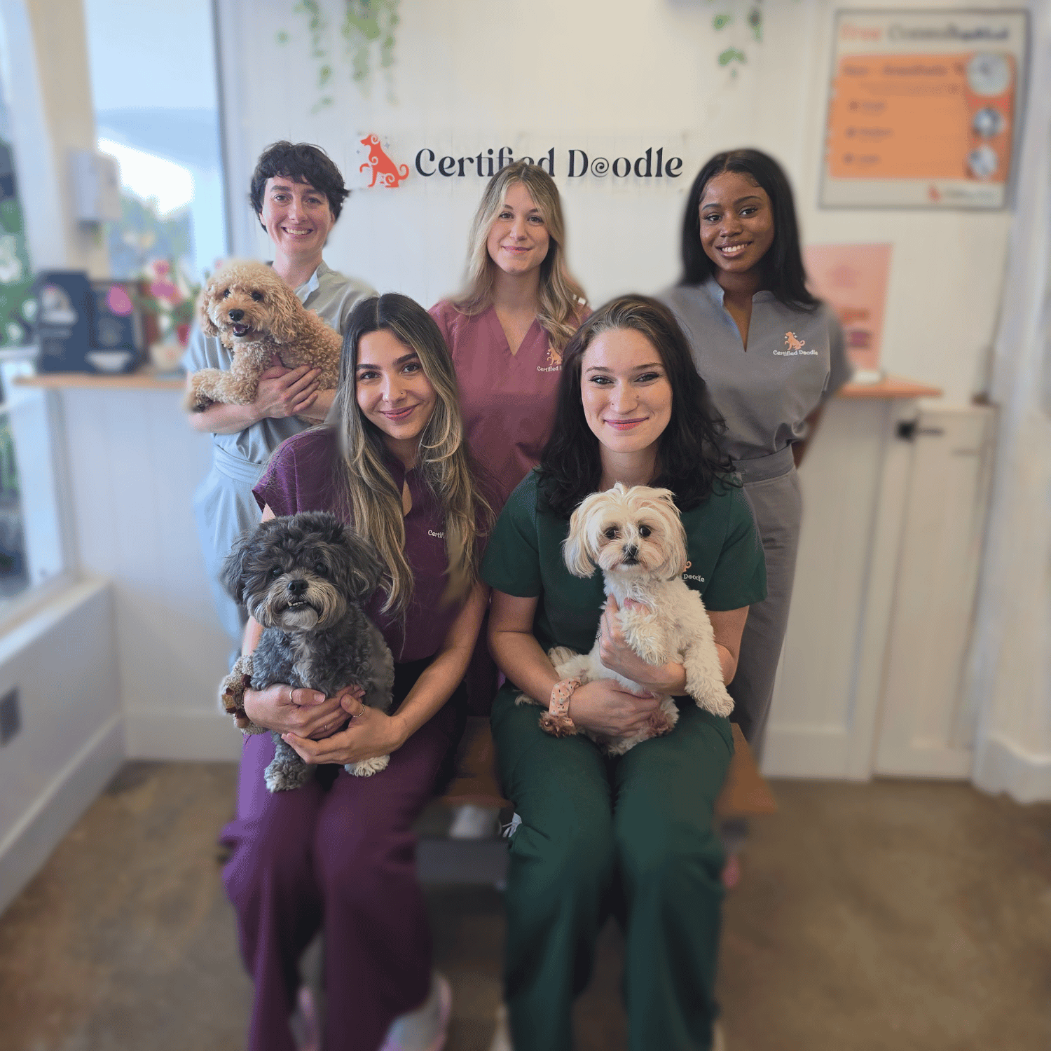 Winner small image - Certified Doodle LLC