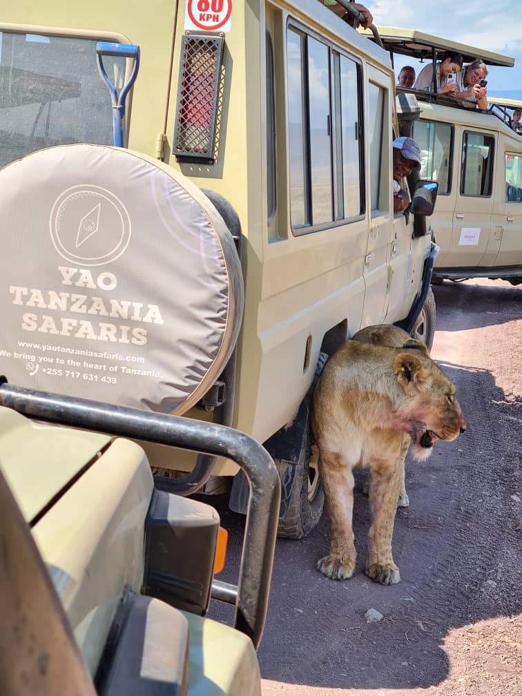 Winner small image - YAO Tanzania Safaris