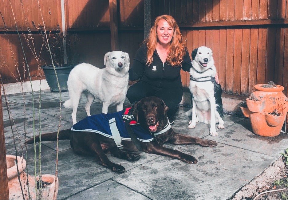 Winner small image - Store Paws Dog Training Service
