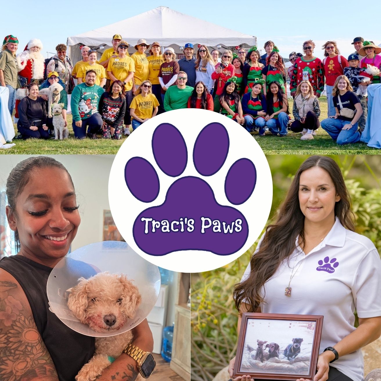 Winner small image - Traci’s Paws