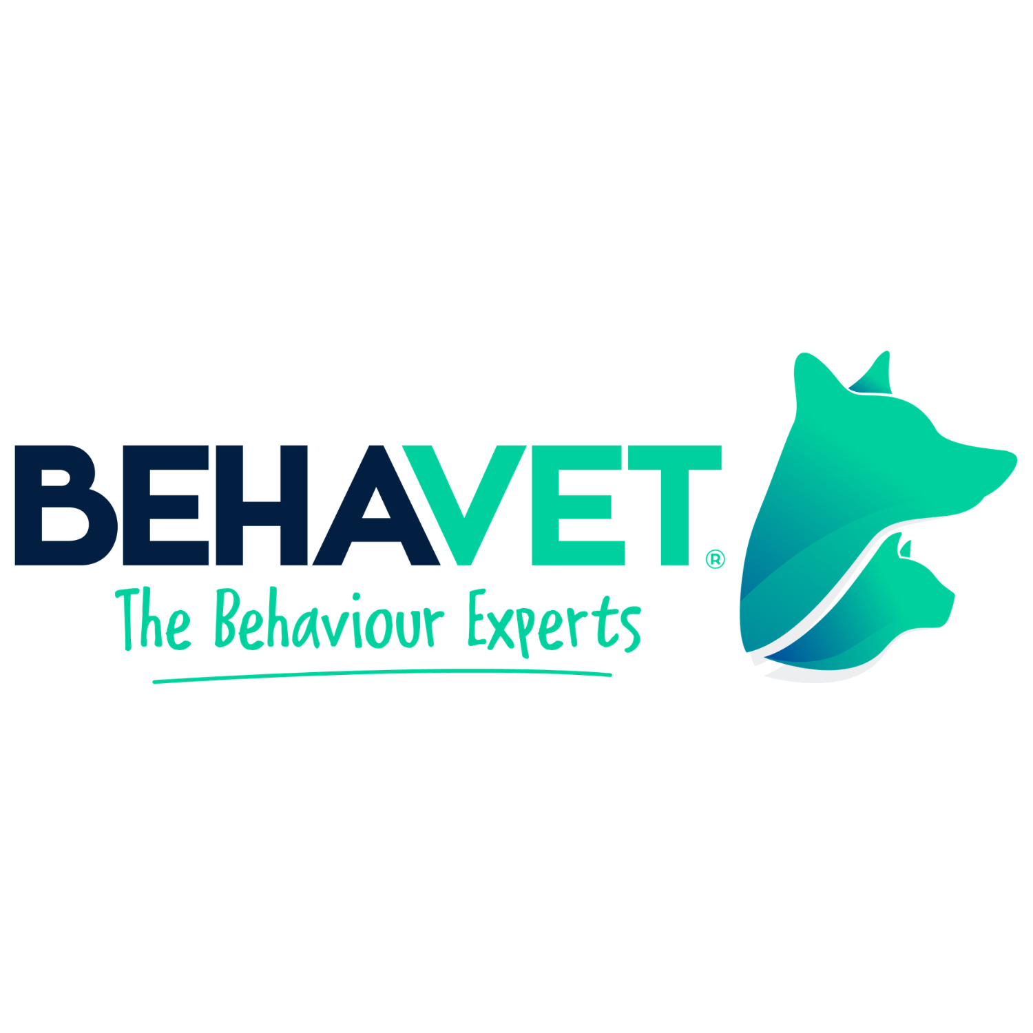 Winner small image - Behavet