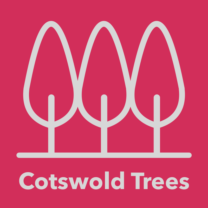 Winner small image - Cotswold Trees LTD