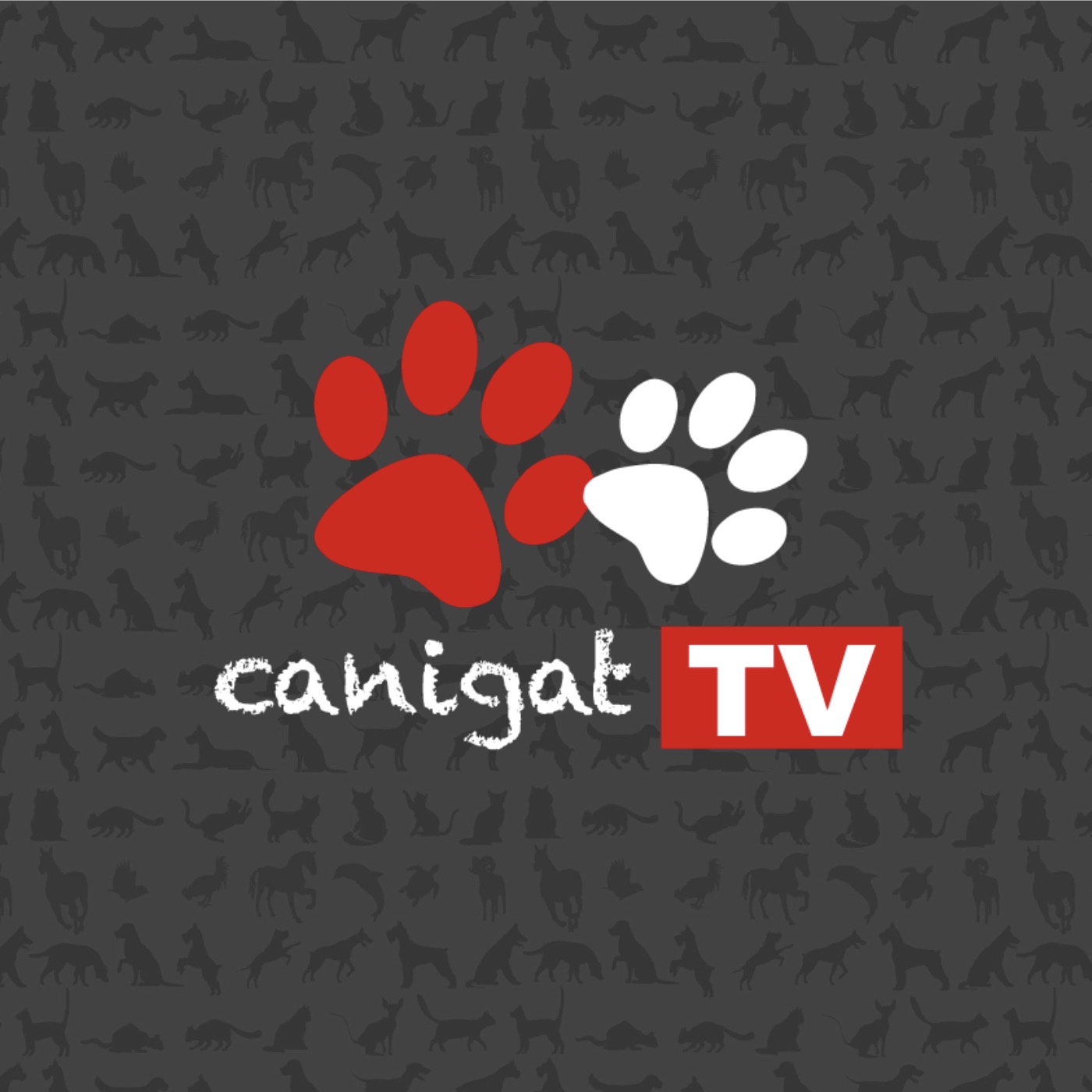 Winner small image - Canigat TV