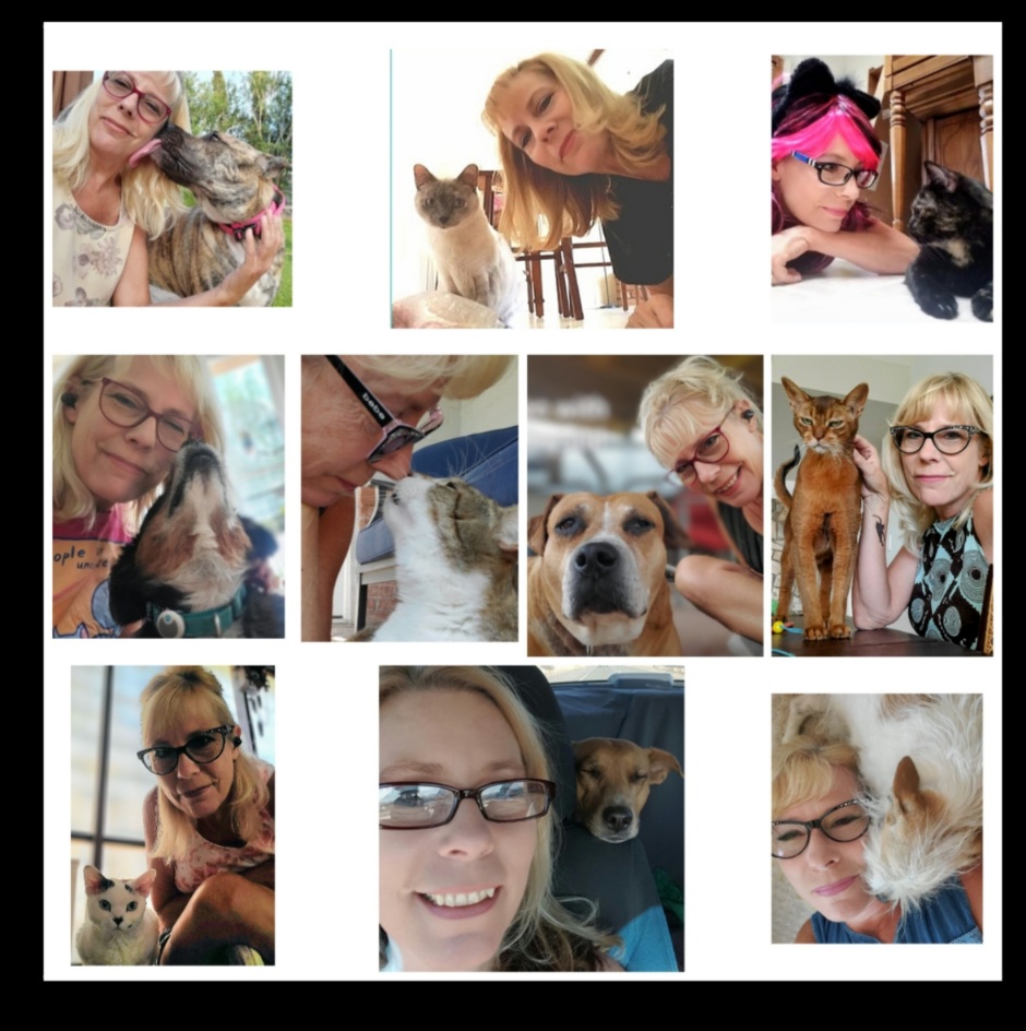 Winner small image - Crystal the Pet Nanny LLC