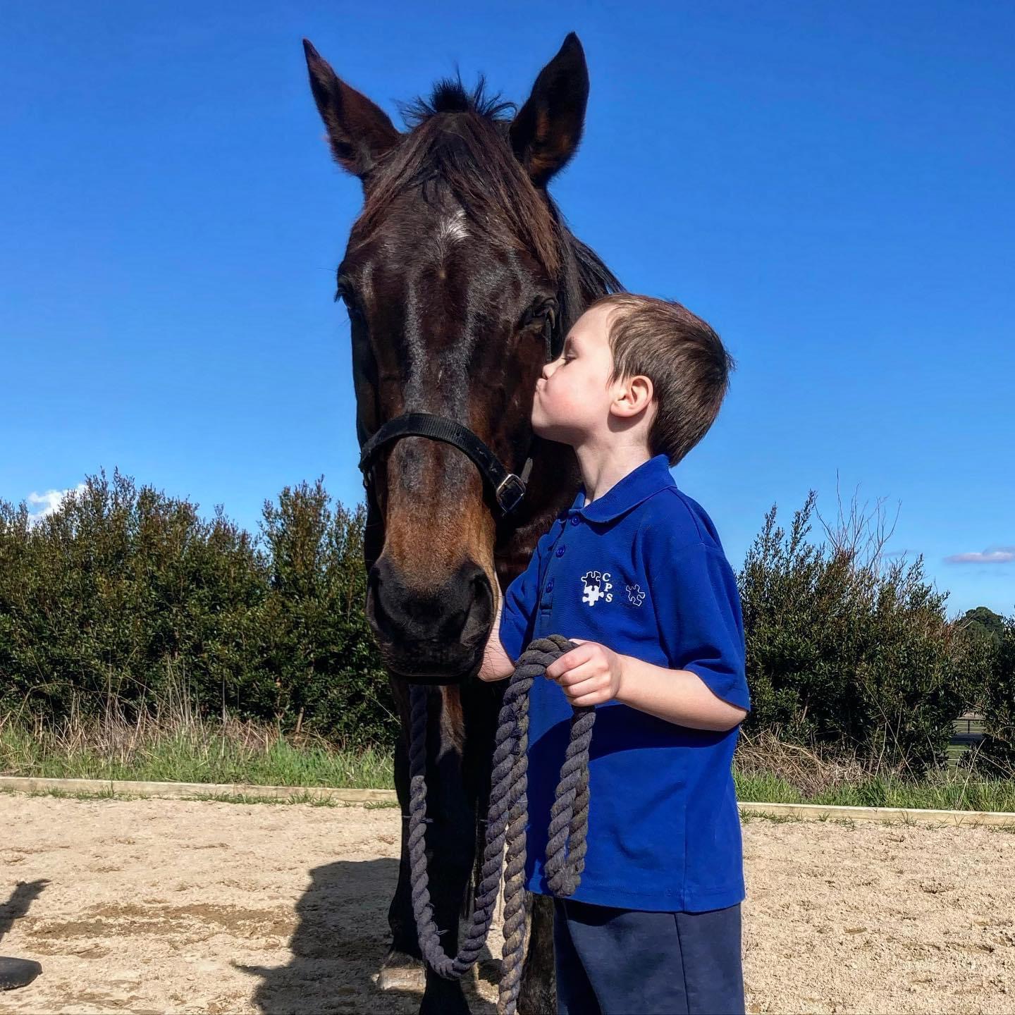 Winner small image - Racing Hearts Equine Assisted Therapies