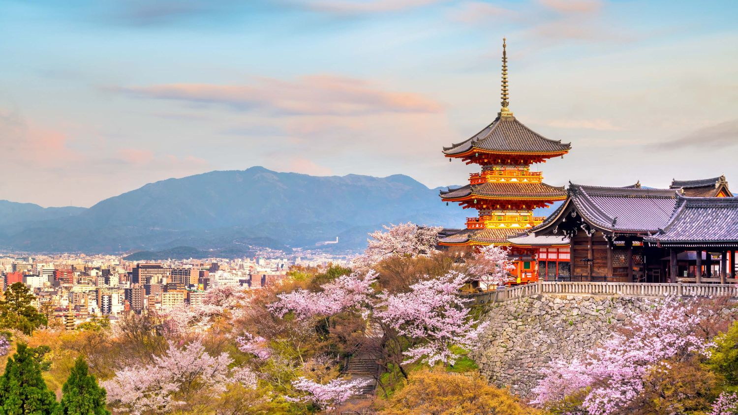 Winner small image - Japanspecialist