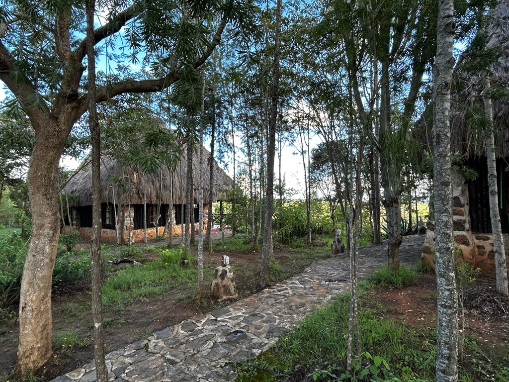 Winner small image - Ngari Hill EcoLodge
