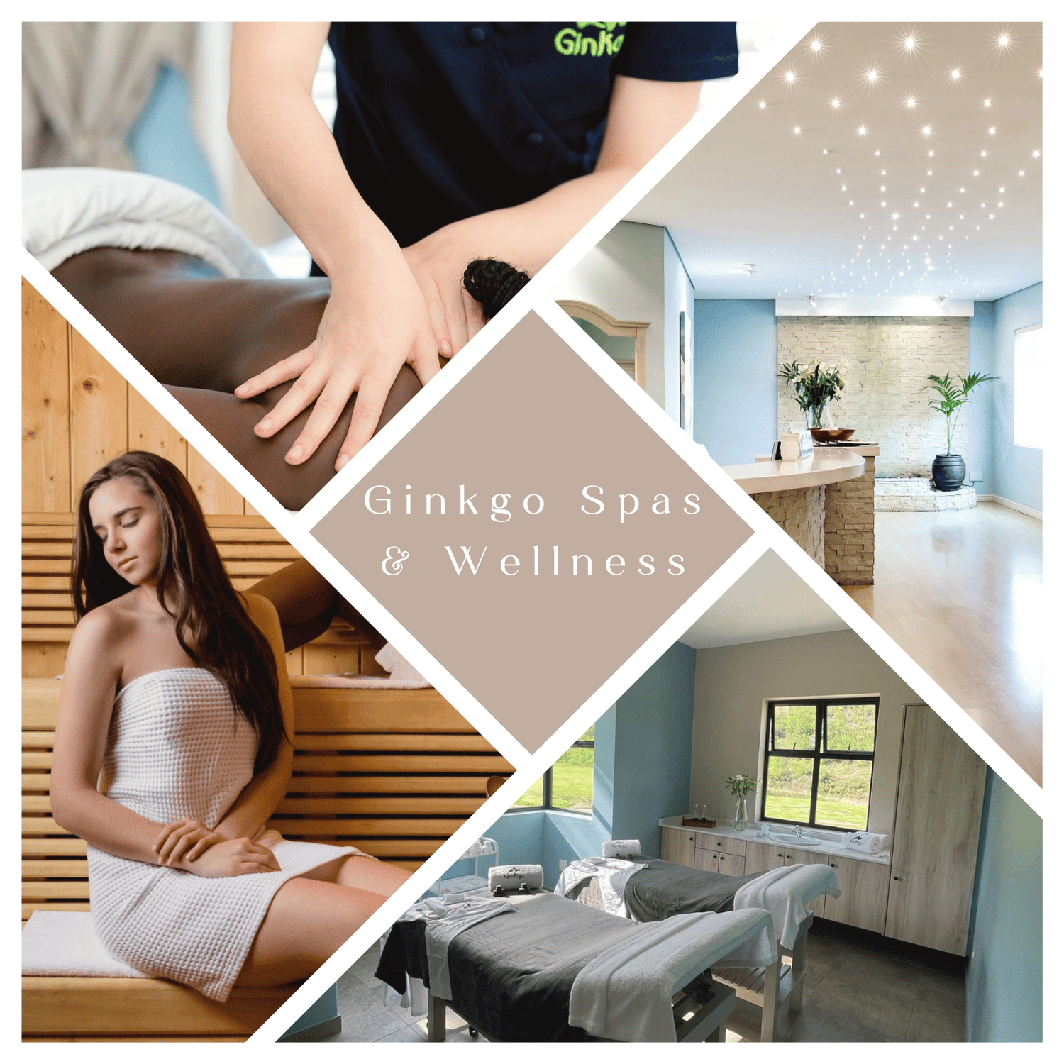 Winner small image - The Ginkgo Spa & Wellness Group