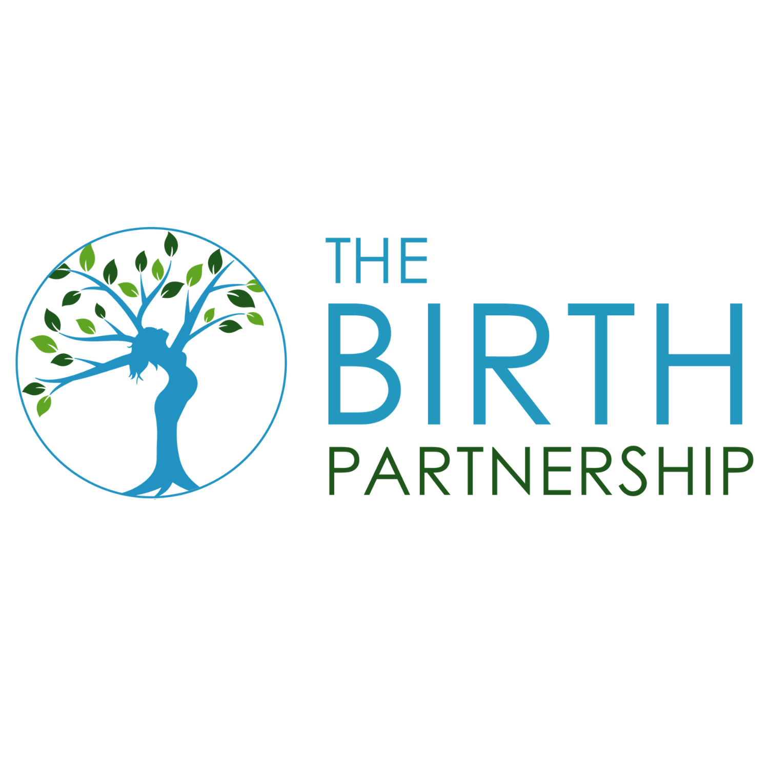 Winner small image - The Birth Partnership