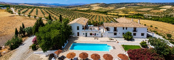 Winner small image - Lemon Tree Retreat at El Amparo